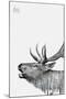 Deer-PhotoINC-Mounted Art Print