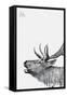 Deer-PhotoINC-Framed Stretched Canvas