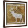 Deer-Erin Clark-Framed Giclee Print