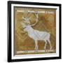 Deer-Erin Clark-Framed Giclee Print