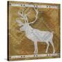 Deer-Erin Clark-Stretched Canvas