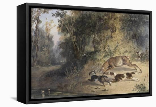 Deerhound and Bitch Cornering a Stag at the Edge of a Woodland Pool (W/C-Newton Fielding-Framed Stretched Canvas