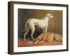 Deerhounds in an Interior-William Barraud-Framed Giclee Print