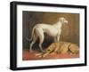 Deerhounds in an Interior-William Barraud-Framed Giclee Print