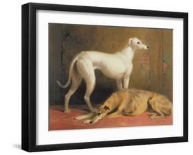 Deerhounds in an Interior-William Barraud-Framed Giclee Print