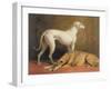 Deerhounds in an Interior-William Barraud-Framed Giclee Print