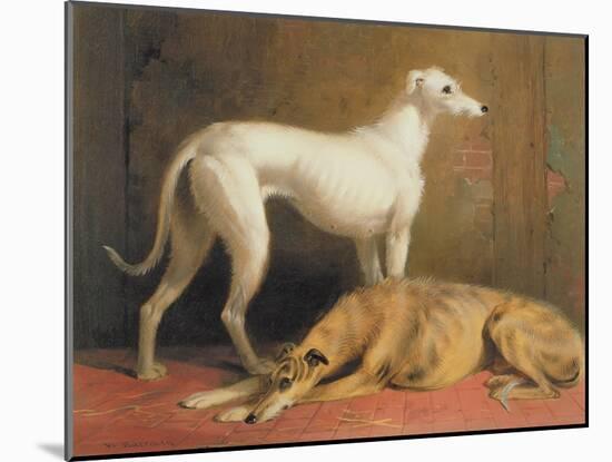 Deerhounds in an Interior-William Barraud-Mounted Giclee Print