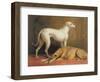 Deerhounds in an Interior-William Barraud-Framed Premium Giclee Print