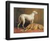 Deerhounds in an Interior-William Barraud-Framed Premium Giclee Print