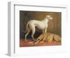 Deerhounds in an Interior-William Barraud-Framed Premium Giclee Print