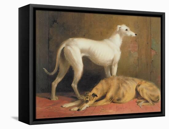 Deerhounds in an Interior-William Barraud-Framed Stretched Canvas