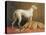 Deerhounds in an Interior-William Barraud-Stretched Canvas