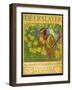 Deerslayer-Newell Convers Wyeth-Framed Art Print