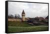 Defensive Walls and Tower, Cluny, Burgundy, France, Europe-Oliviero-Framed Stretched Canvas