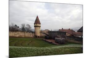 Defensive Walls and Tower, Cluny, Burgundy, France, Europe-Oliviero-Mounted Photographic Print