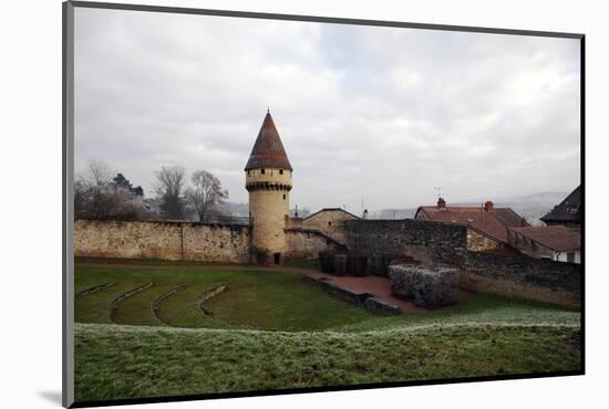 Defensive Walls and Tower, Cluny, Burgundy, France, Europe-Oliviero-Mounted Photographic Print