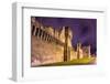 Defensive Walls of Avignon, A Unesco Heritage Site in France-Leonid Andronov-Framed Photographic Print