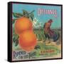 Defiance Orange Label - Venice Cove, CA-Lantern Press-Framed Stretched Canvas