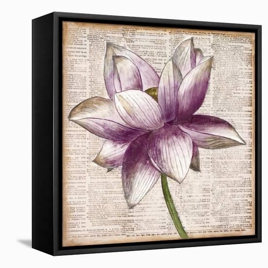 Defined Lotus I-Patricia Pinto-Framed Stretched Canvas