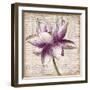 Defined Lotus I-Patricia Pinto-Framed Art Print