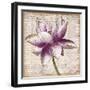 Defined Lotus I-Patricia Pinto-Framed Art Print