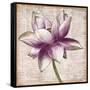 Defined Lotus I-Patricia Pinto-Framed Stretched Canvas