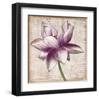 Defined Lotus I-Patricia Pinto-Framed Art Print