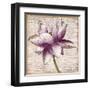 Defined Lotus I-Patricia Pinto-Framed Art Print