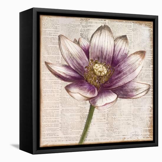 Defined Lotus II-Patricia Pinto-Framed Stretched Canvas