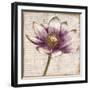 Defined Lotus II-Patricia Pinto-Framed Art Print