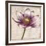 Defined Lotus II-Patricia Pinto-Framed Art Print