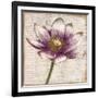 Defined Lotus II-Patricia Pinto-Framed Art Print