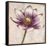 Defined Lotus II-Patricia Pinto-Framed Stretched Canvas