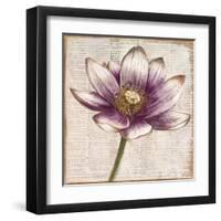 Defined Lotus II-Patricia Pinto-Framed Art Print