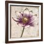 Defined Lotus II-Patricia Pinto-Framed Art Print