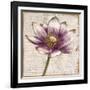 Defined Lotus II-Patricia Pinto-Framed Art Print