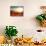 Defocused Background-shagane-Art Print displayed on a wall