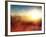 Defocused Background-shagane-Framed Art Print