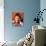 DeForest Kelley-null-Stretched Canvas displayed on a wall