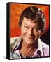 DeForest Kelley-null-Framed Stretched Canvas