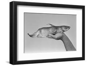 Deformed Catfish-null-Framed Photographic Print