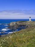 Coastline Near Seaside, Oregon, United States of America, North America-DeFreitas Michael-Photographic Print