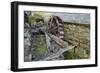 Defunct Undershot Waterwheel on Old Mill Ruin on Welsh Hillside-null-Framed Photographic Print