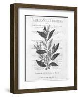 Defused Botanical 1-Kimberly Allen-Framed Art Print