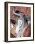 Degas: Woman, C1889-90-Edgar Degas-Framed Giclee Print