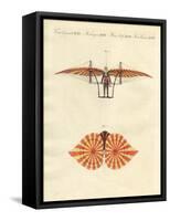 Degen's Flying Machine-null-Framed Stretched Canvas