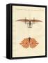 Degen's Flying Machine-null-Framed Stretched Canvas