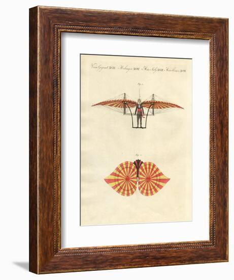 Degen's Flying Machine-null-Framed Giclee Print