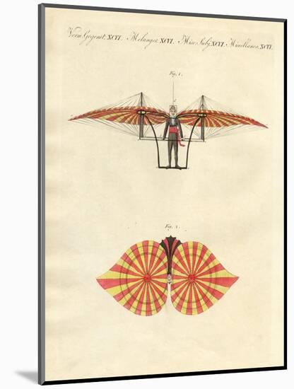 Degen's Flying Machine-null-Mounted Giclee Print