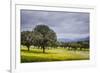 Dehesa Landscape, Caceres, Extremadura, Spain, Europe-Michael Snell-Framed Photographic Print